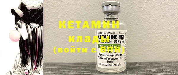 шишки Абаза