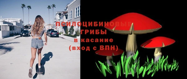 Альфа ПВП Протвино