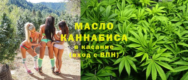 мет Алексин