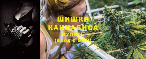 шишки Абаза