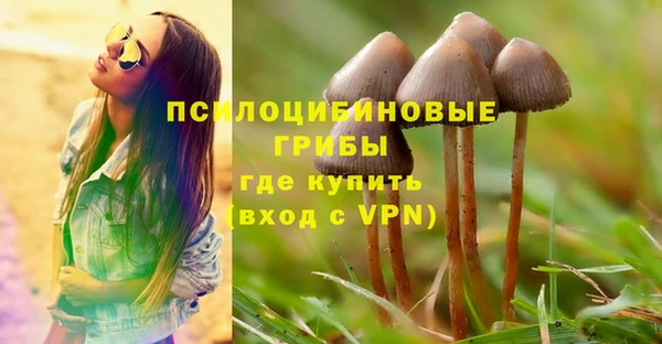 бутират Алзамай