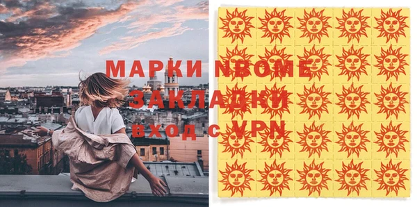 шишки Абаза